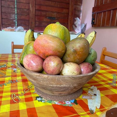 Appartement Cocon Tropical à Vieux-Habitants Extérieur photo
